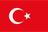 {t('turkish')}